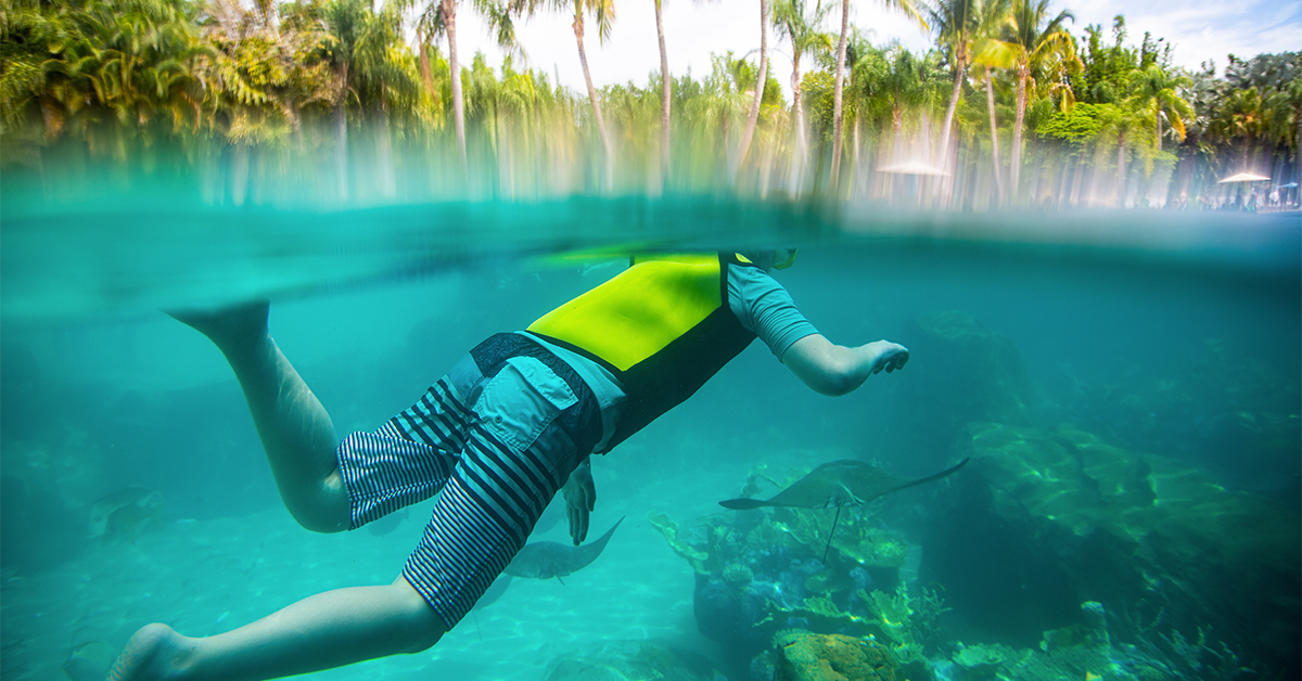 10 Vacation Snorkeling Destinations