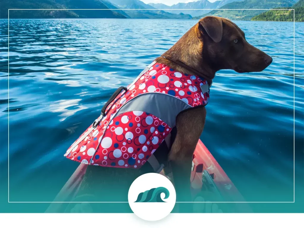 2 2022 09 best kayaks for large dogs what to bring