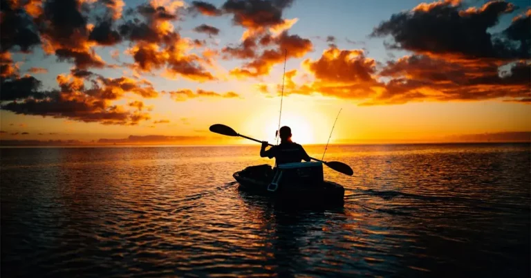 0 featured 2022 07 can fish see in the dark