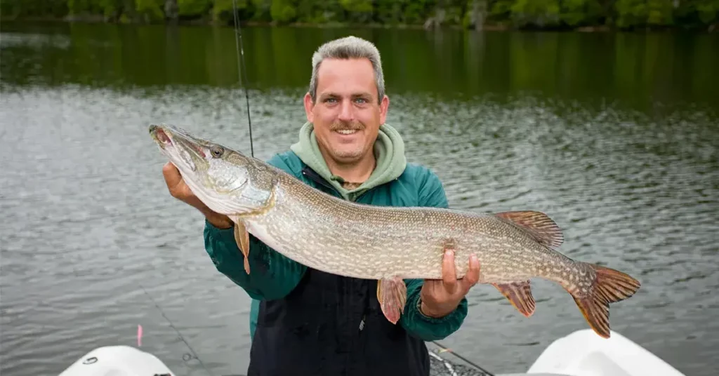 0 featured 2022 07 northern pike fishing tips