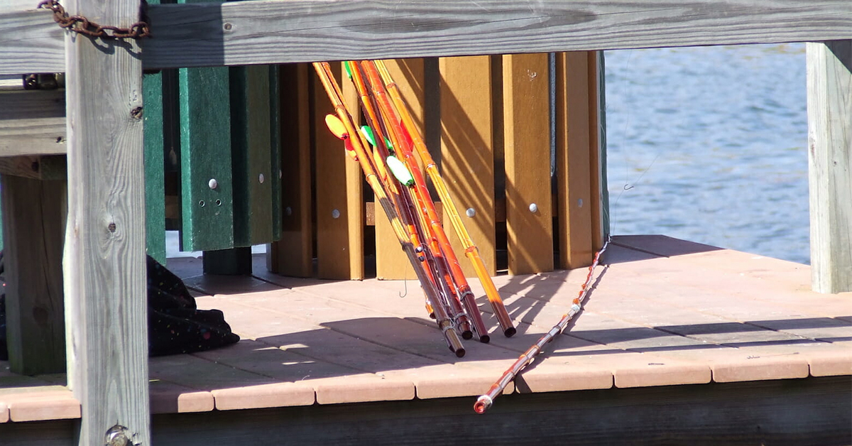 Cane Pole Fishing Guide Get Back To Basics With A Simple Cane Pole!