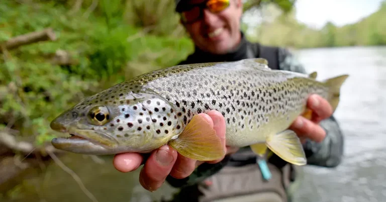 0 featured 2022 07 how to get fish smell off your hands