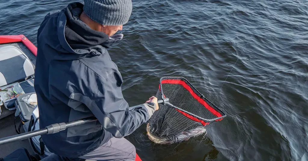 0 FEATURED 2022 08 Best Fishing Landing Nets for Every Situation