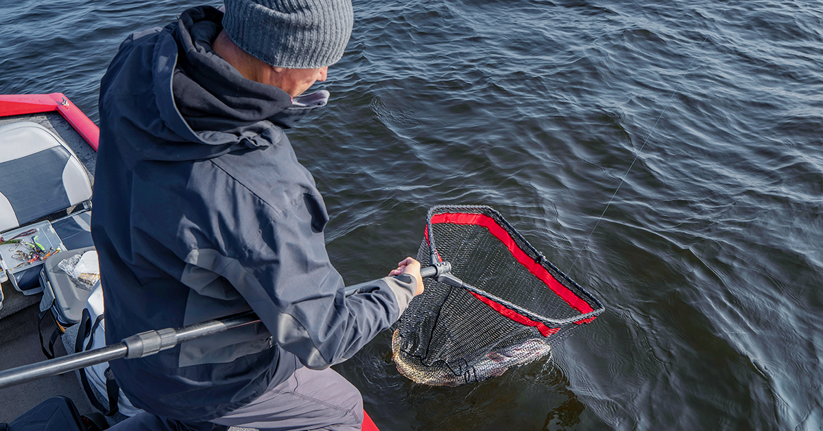 Best Fishing (Landing) Nets For Every Situation