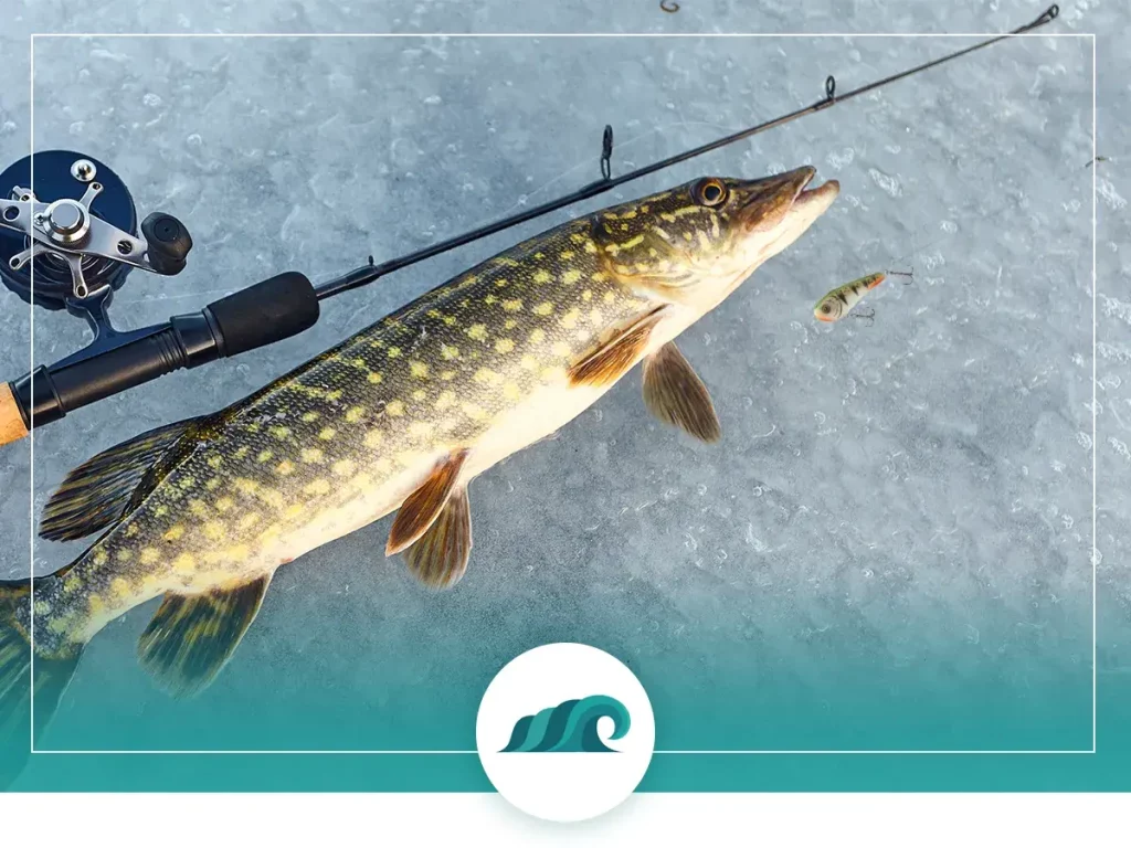 1 2022 07 best ice fishing lures for pike types