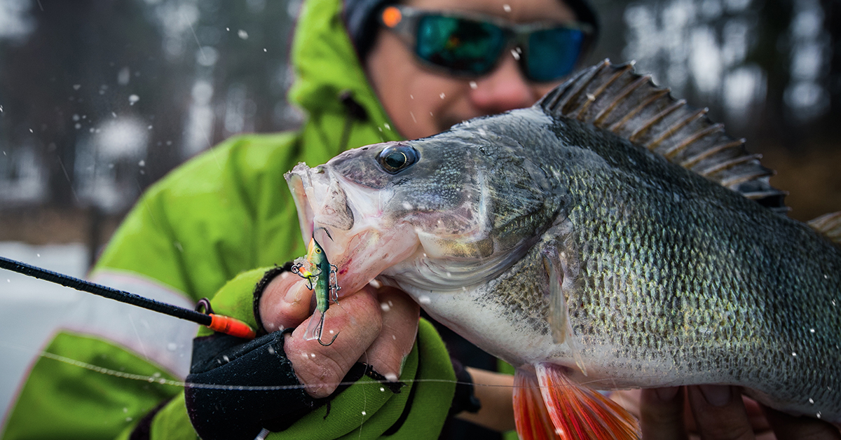 Ice Fishing Lures For Perch