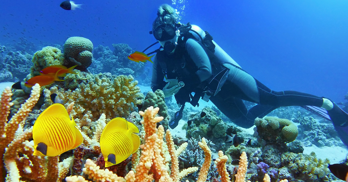 Is Scuba Diving Expensive To Pick Up As A Hobby?
