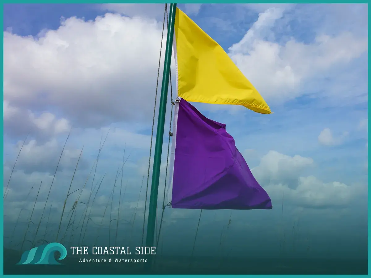 Yellow and purple beach flags