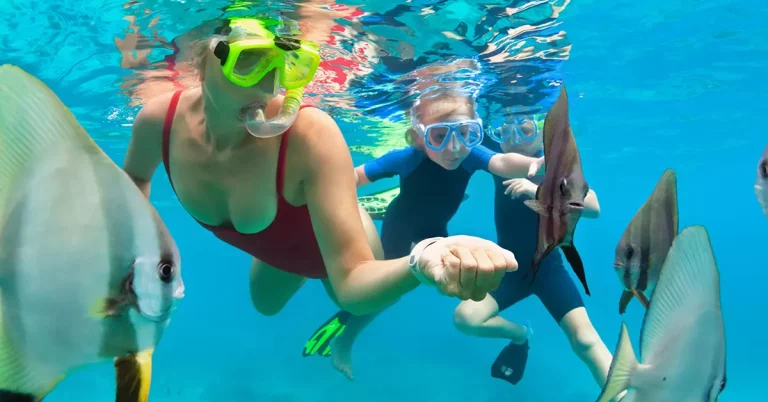 2022 05 snorkeling basics learn how to use snorkeling gear