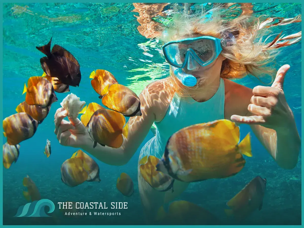 A woman snorkeling with yellow tropical fish