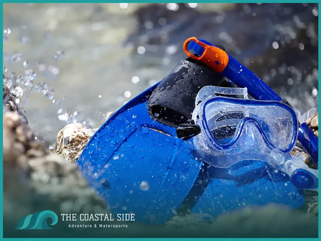 What snorkeling equipment do you need