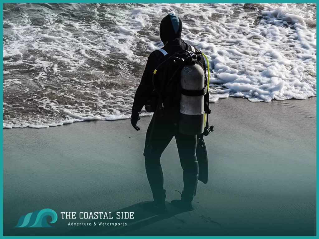 Scuba diver standing on the shore looking into the ocean