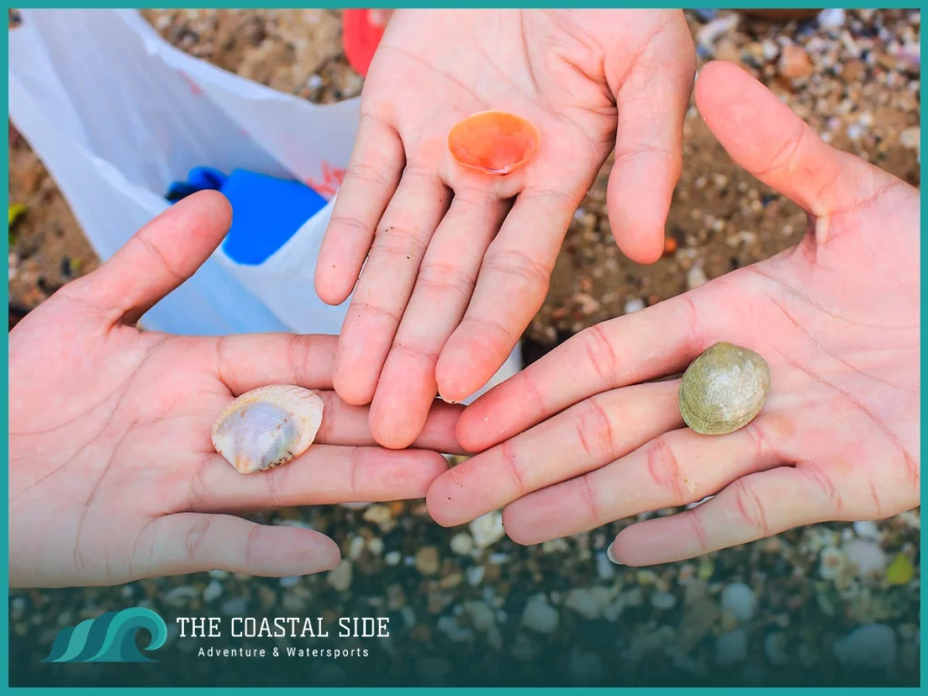 People on the beach with colorful gems and stones