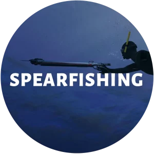 Spearfishing