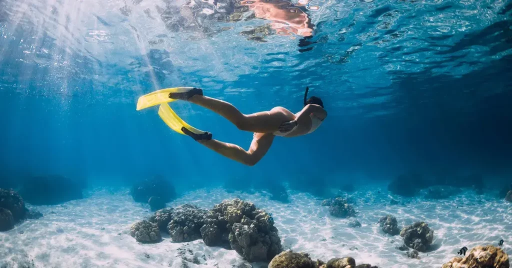 0 featured 2022 08 how to use flippers while snorkeling