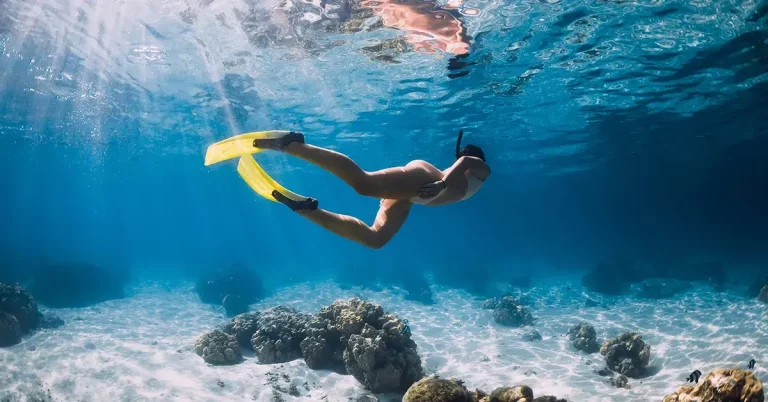 0 featured 2022 08 how to use flippers while snorkeling