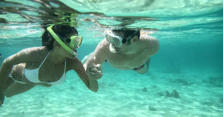 A couple snorkeling together in the ocean