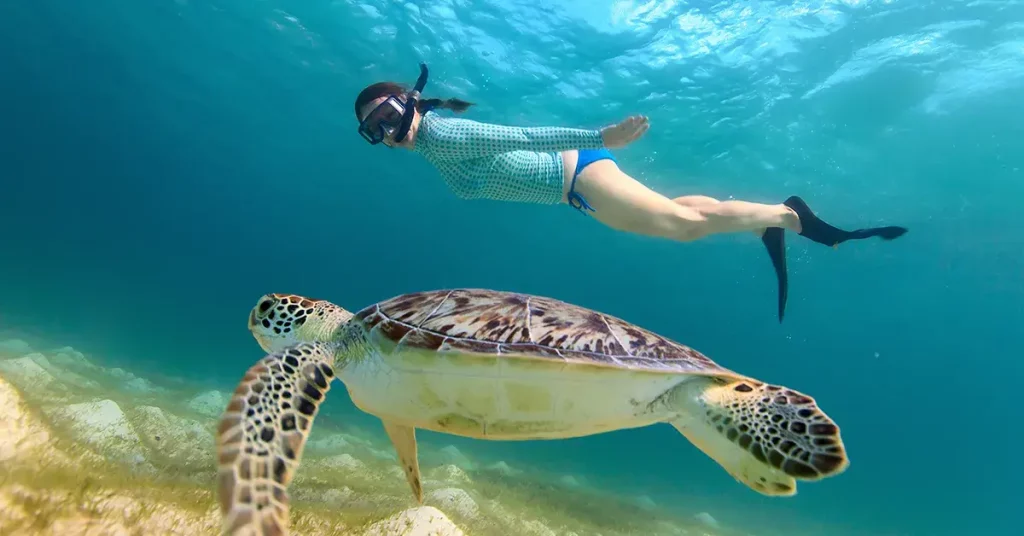 What is the best tide for snorkeling with a turtle